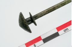 Foto von Bronzeschirmkopfnadel (NHMW-PRAE-024773)